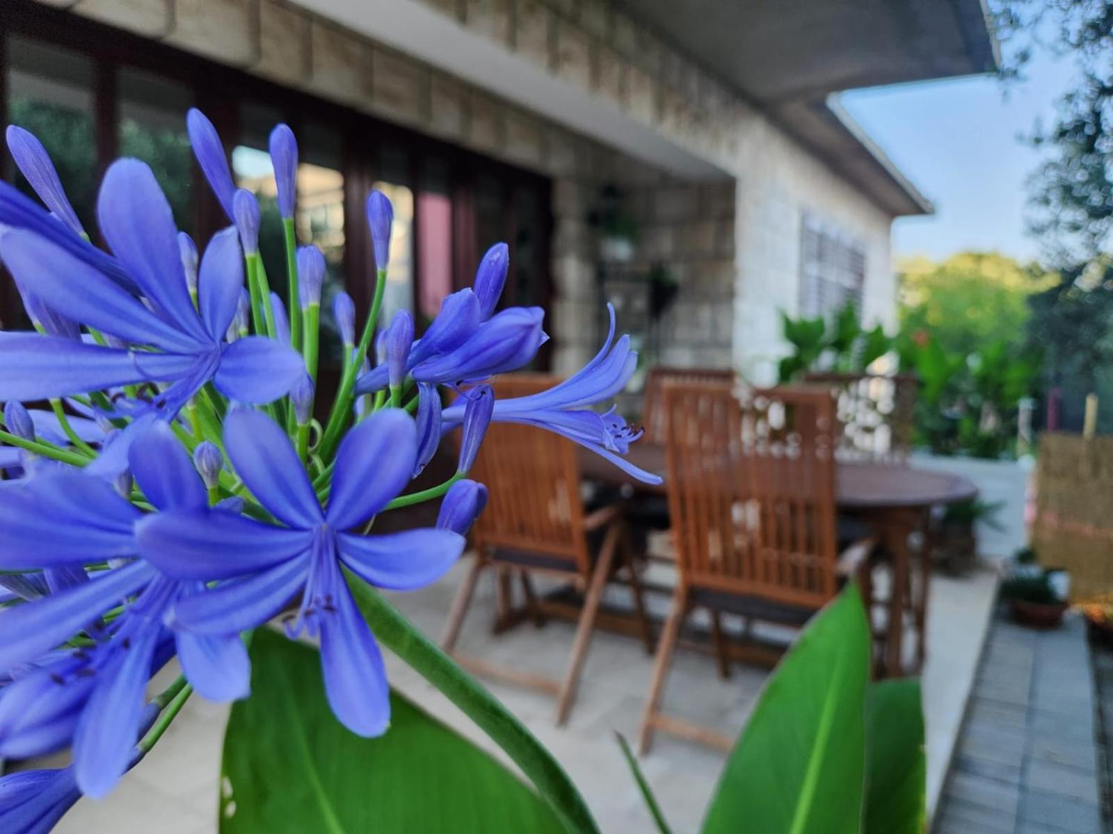 Apartamento Natalija